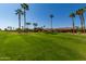 View of a lush green golf course with palm trees at 14766 W Piccadilly Rd, Goodyear, AZ 85395