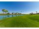 Scenic view of a lake with lush greenery and palm trees at 14766 W Piccadilly Rd, Goodyear, AZ 85395