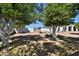 Landscaped backyard with young fruit trees and ample space at 2041 N Orchard --, Mesa, AZ 85213
