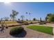 Landscaped backyard with putting green, mature trees, and desert landscaping at 10952 W Tropicana Cir, Sun City, AZ 85351