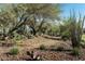 Landscaped walking path with native desert plants at 2219 W Chisum Trl, Phoenix, AZ 85085