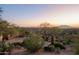 Landscaped yard with desert plants and mountain views at 9215 E Red Lawrence Dr, Scottsdale, AZ 85262