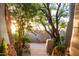 Peaceful courtyard with flagstone path and lush greenery at 9215 E Red Lawrence Dr, Scottsdale, AZ 85262