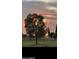 Sunset view from the backyard, showcasing mature trees and lush landscaping at 12946 W Ashwood Dr, Sun City West, AZ 85375