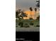 Scenic backyard with palm trees and a stunning sunset over the golf course at 12946 W Ashwood Dr, Sun City West, AZ 85375