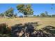 View of a sunny golf course with players and golf carts at 12946 W Ashwood Dr, Sun City West, AZ 85375