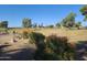 Landscaped yard with a view of a lush green golf course at 12946 W Ashwood Dr, Sun City West, AZ 85375