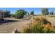 Landscaped yard with desert plants and rock features, offering a view of the golf course at 12946 W Ashwood Dr, Sun City West, AZ 85375