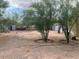 Large backyard with sparse vegetation at 107 W 1St St, Eloy, AZ 85131