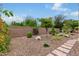 Landscaped backyard with gravel, stone pathway, and desert plants at 28694 N 127Th Ln, Peoria, AZ 85383