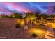 Landscaped backyard with lighting and stone pathway at 28694 N 127Th Ln, Peoria, AZ 85383