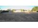 Large backyard with view of the home and trees at 27824 N 256Th Ave, Wittmann, AZ 85361