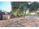 Large backyard with mature trees and storage shed at 27824 N 256Th Ave, Wittmann, AZ 85361