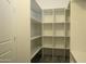 Spacious pantry with ample shelving for storage at 27824 N 256Th Ave, Wittmann, AZ 85361
