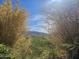 View through foliage of desert landscape and mountains at 2317 W Dobbins Rd, Phoenix, AZ 85041