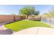 Artificial turf backyard with a large tree at 4356 E Rancho Tierra Dr, Cave Creek, AZ 85331