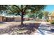 Ranch-style home with walkway and mature trees at 17447 N 99Th Dr, Sun City, AZ 85373