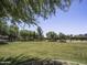 Large grassy area, perfect for recreation at 7959 W Waltann Ln, Peoria, AZ 85382