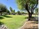 Community greenbelt with mature trees at 7959 W Waltann Ln, Peoria, AZ 85382