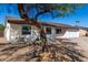 Newly renovated single story home with a landscaped front yard and attached garage at 15840 N 22Nd St, Phoenix, AZ 85022