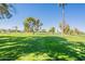 Green grass golf course with palm trees and homes in background at 9626 W Hidden Valley N Cir, Sun City, AZ 85351