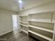 Bright walk-in pantry with ample shelving at 1737 N Trevor Dr, Mesa, AZ 85201