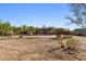 Large backyard with fire pit and play structure at 36908 N 19Th St, Phoenix, AZ 85086