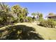 Putting green nestled amongst palm trees and greenery at 7528 E Corrine Rd, Scottsdale, AZ 85260