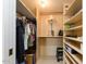 Spacious walk-in closet with shelving and hanging space at 4630 N 68Th St # 248, Scottsdale, AZ 85251