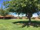 Large backyard with grassy area, trees, and play structure at 8214 E Mcdonald Dr, Scottsdale, AZ 85250