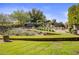 Landscaped backyard with mature plants and lawn at 8836 N 47Th Pl, Phoenix, AZ 85028