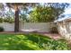 Relaxing backyard with a hammock under shady trees at 10338 E San Salvador Dr, Scottsdale, AZ 85258