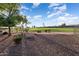 Landscaped yard with golf course views at 2606 N 159Th Dr, Goodyear, AZ 85395