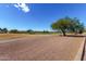 View of a lush green golf course at 2222 S Yellow Wood --, Mesa, AZ 85209