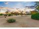 Landscaped front yard with desert landscaping at sunset at 19562 N Wikieup Ct, Surprise, AZ 85374