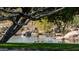 Scenic pond with ducks and lush greenery at 27789 N 129Th Ln, Peoria, AZ 85383
