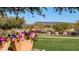 Landscaped grounds with flower pots and mountain view at 27789 N 129Th Ln, Peoria, AZ 85383