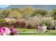Peaceful park with geese and lush landscaping at 27789 N 129Th Ln, Peoria, AZ 85383
