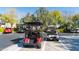 Two golf carts parked in a community parking lot at 27789 N 129Th Ln, Peoria, AZ 85383