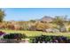 Landscaped lawn with flowerbeds and mountain views at 27789 N 129Th Ln, Peoria, AZ 85383