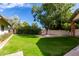 Expansive grassy yard with mature trees, creating a tranquil setting at 2166 E Caroline Ln, Tempe, AZ 85284