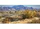 Mountainous desert landscape with cacti and shrubs at 24450 N 132Nd Pl, Scottsdale, AZ 85255