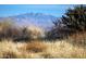 Mountain view from a property with desert vegetation at 24450 N 132Nd Pl, Scottsdale, AZ 85255