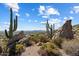 Scenic desert landscape with cacti and mountain views at 11155 E Honda Bow Rd, Scottsdale, AZ 85262
