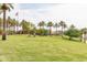 Expansive grassy area with palm trees and American flag near lake at 18610 W Porter Dr # 93, Goodyear, AZ 85338