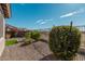 Backyard with artificial turf and gravel at 20403 W Calle Encorvada --, Buckeye, AZ 85396