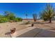 Spacious backyard with gravel, mature trees, and a patio at 18633 N Conquistador Dr, Sun City West, AZ 85375