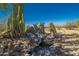 Lovely desert landscape with a charming water feature at 50910 W Long Rifle Rd, Aguila, AZ 85320