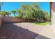 Spacious backyard with gravel and grass areas, a large tree, and a block wall at 18116 N Catherine Dr, Surprise, AZ 85374