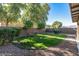 Landscaped backyard with grassy area and mature trees at 18533 W Sanna St, Waddell, AZ 85355